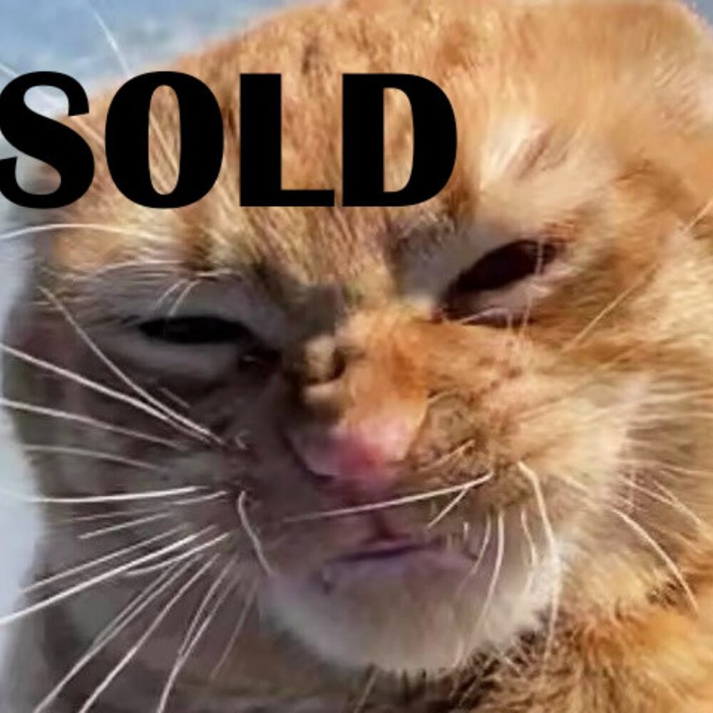 Game of thrones house of dragons season one NEVER OPENED BLU RAY